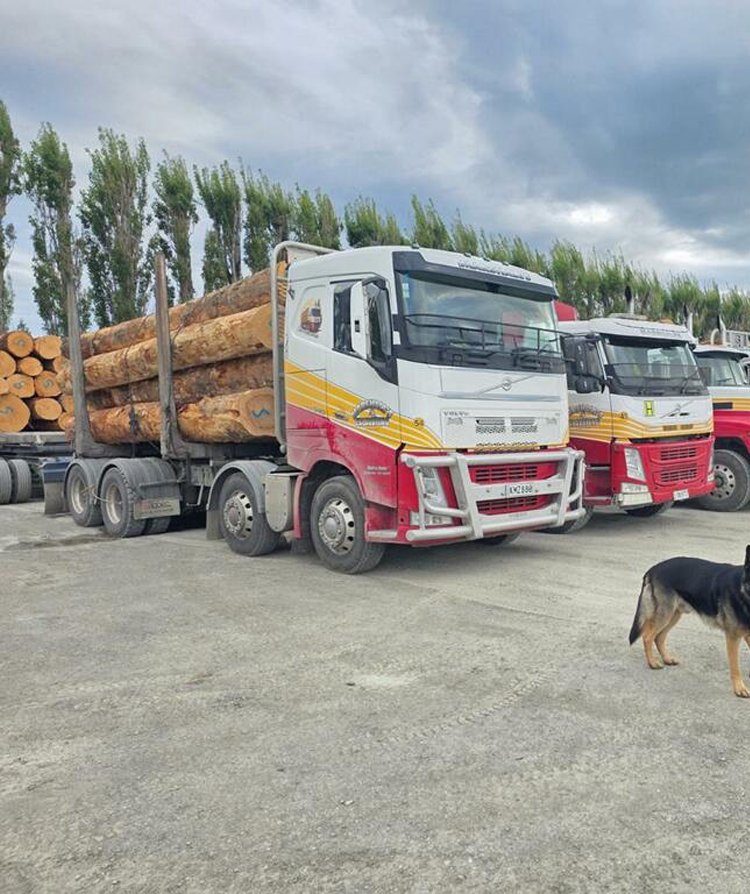 Marshall's logging trucks Canterbury
